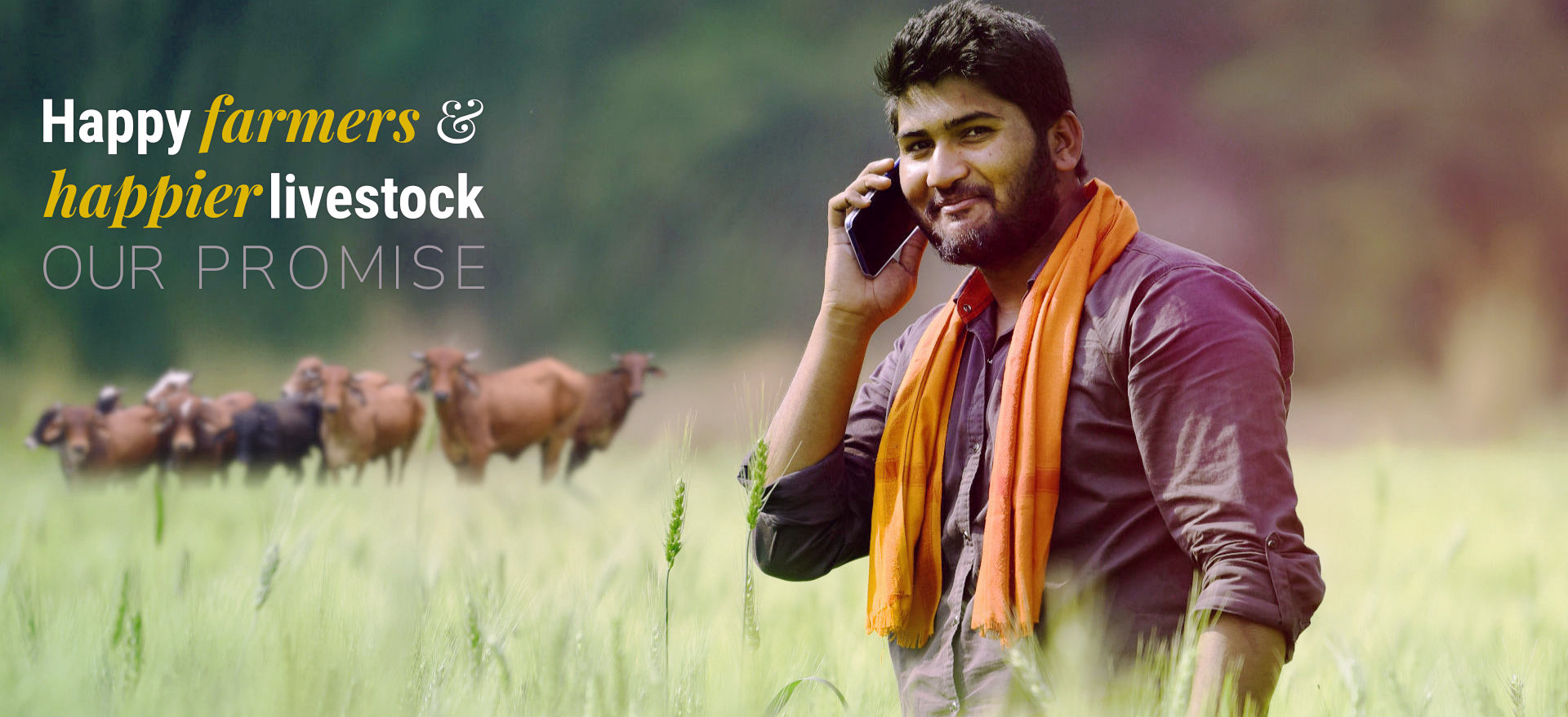 Dr. Thomas Livestock Consultants OPC Pvt Ltd offers expert advice on animal and allied farm management